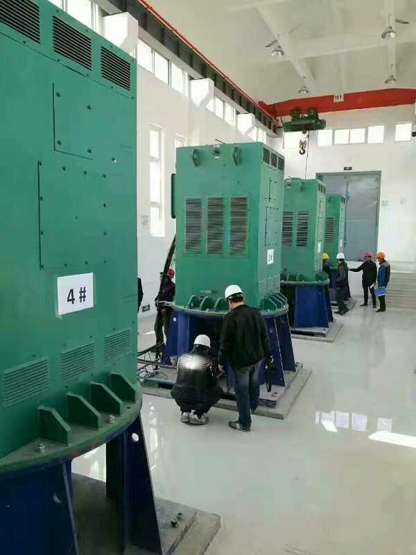 江川某污水处理厂使用我厂的立式高压电机安装现场